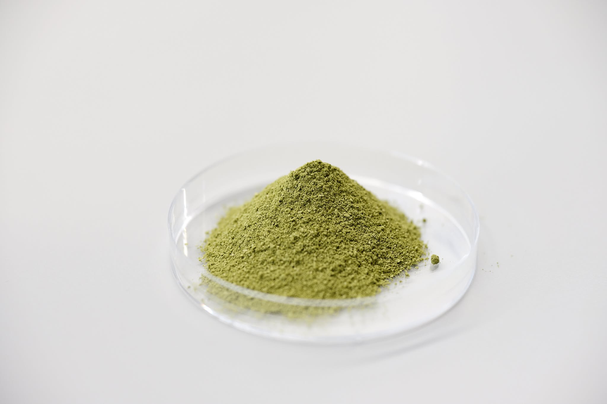 Matcha w proszku